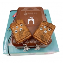 Bộ điều khiển YH315 vân gỗ